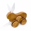 Kinderfeets Push Pull Rabbit