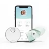 Owlet Smart Sock 3 Mint