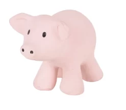 Tikiri Rubber Farm Pig